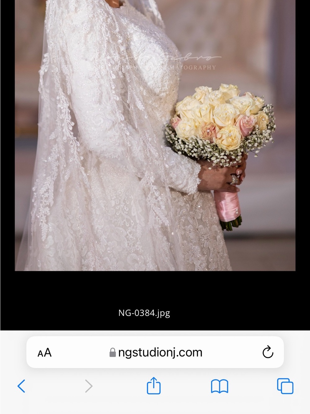 Ivory Lace Long-Sleeve Wedding Dress with Veil